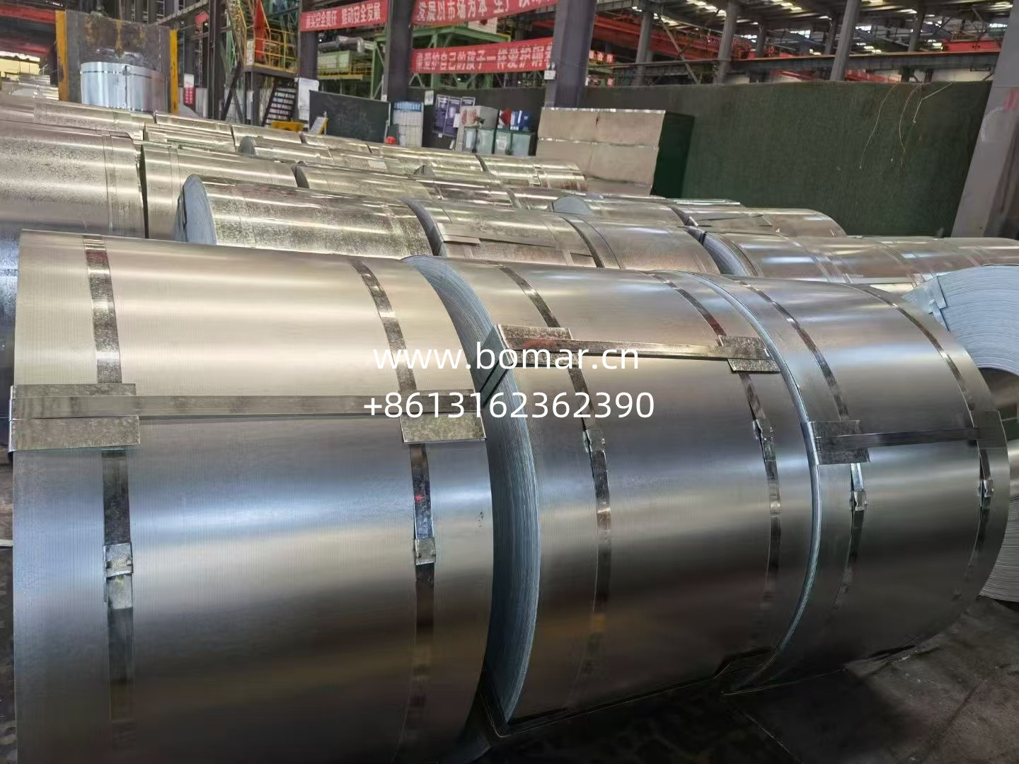 Galvanized Steel Coil